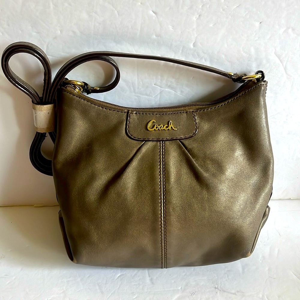 COACH Ashley leather mini crossbody bag